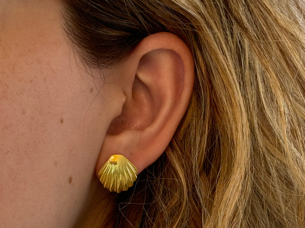 Sea Shell Earrings