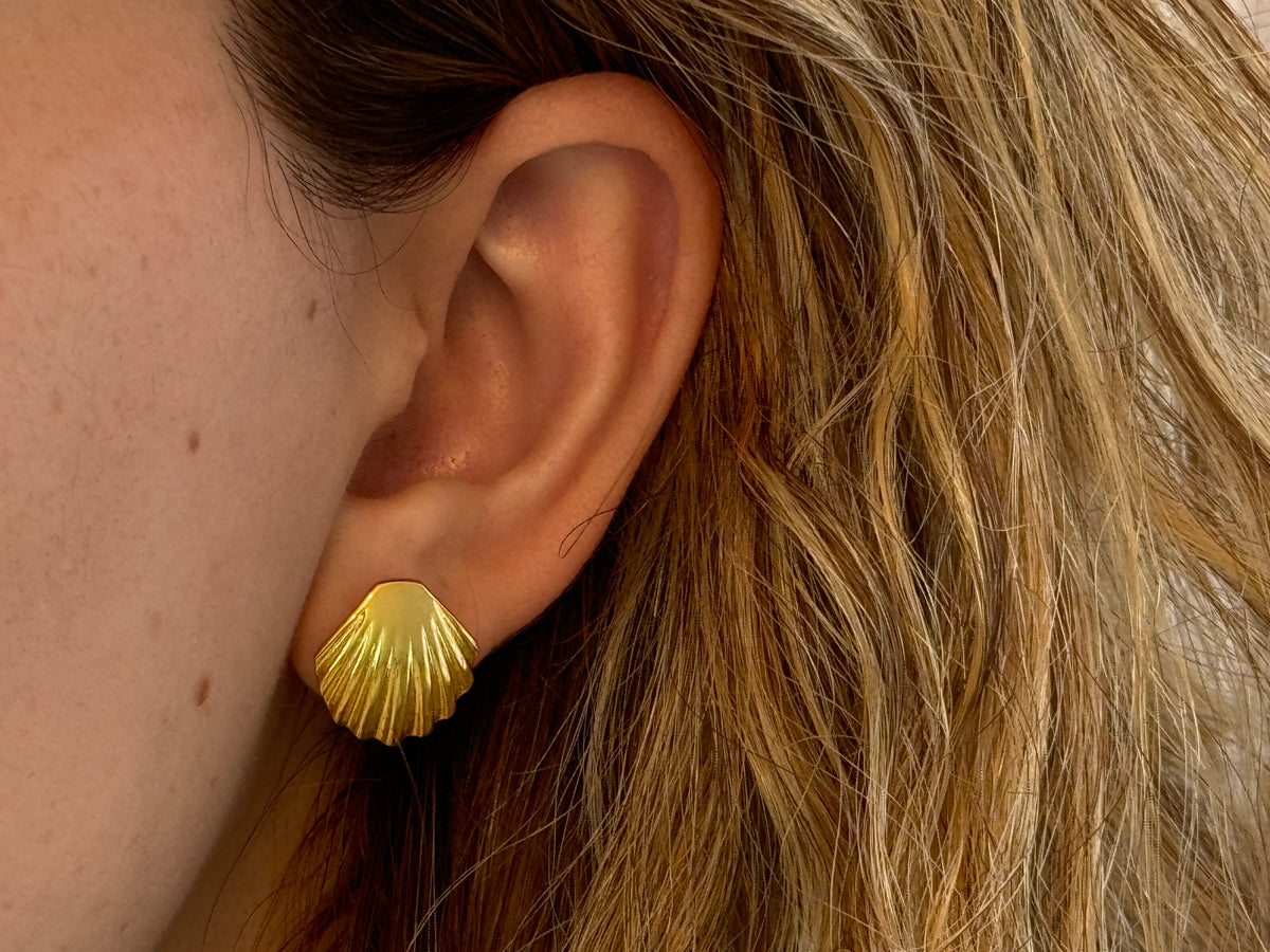 Sea Shell Earrings