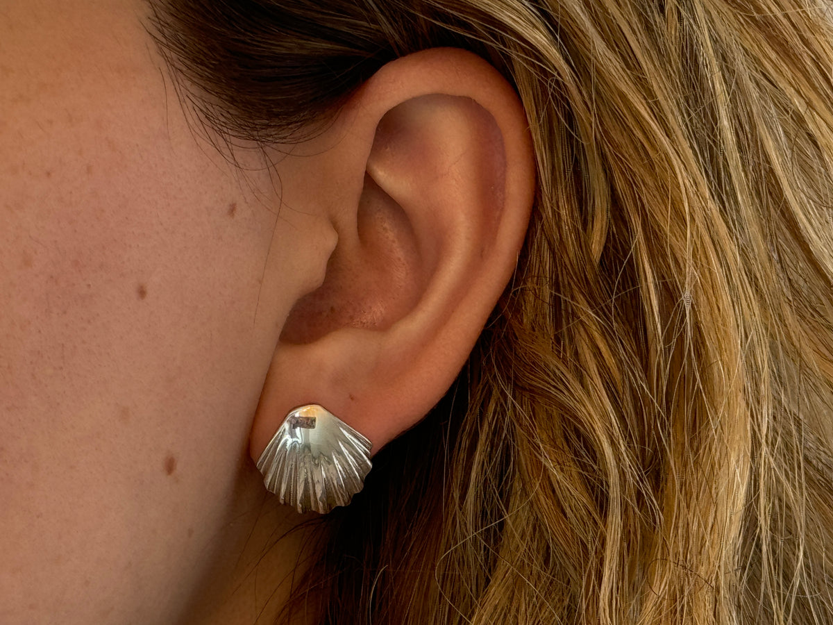 Sea Shell Earrings