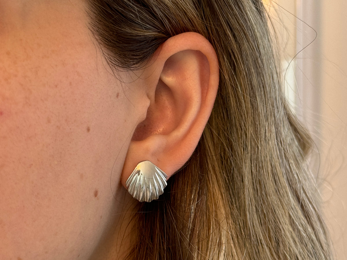 Sea Shell Earrings