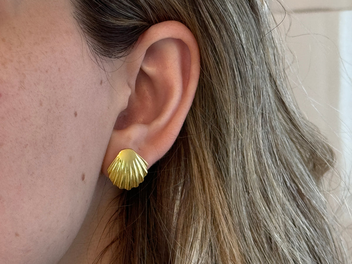 Sea Shell Earrings