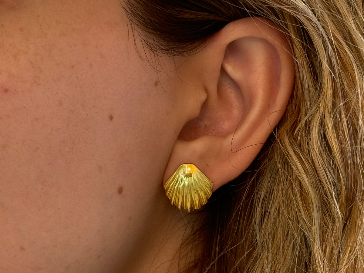 Sea Shell Earrings