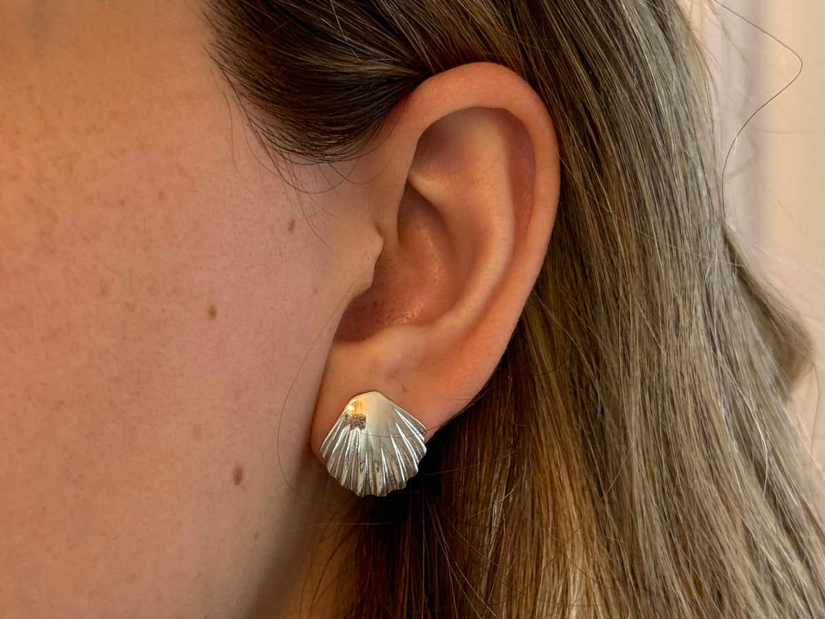 Sea Shell Earrings