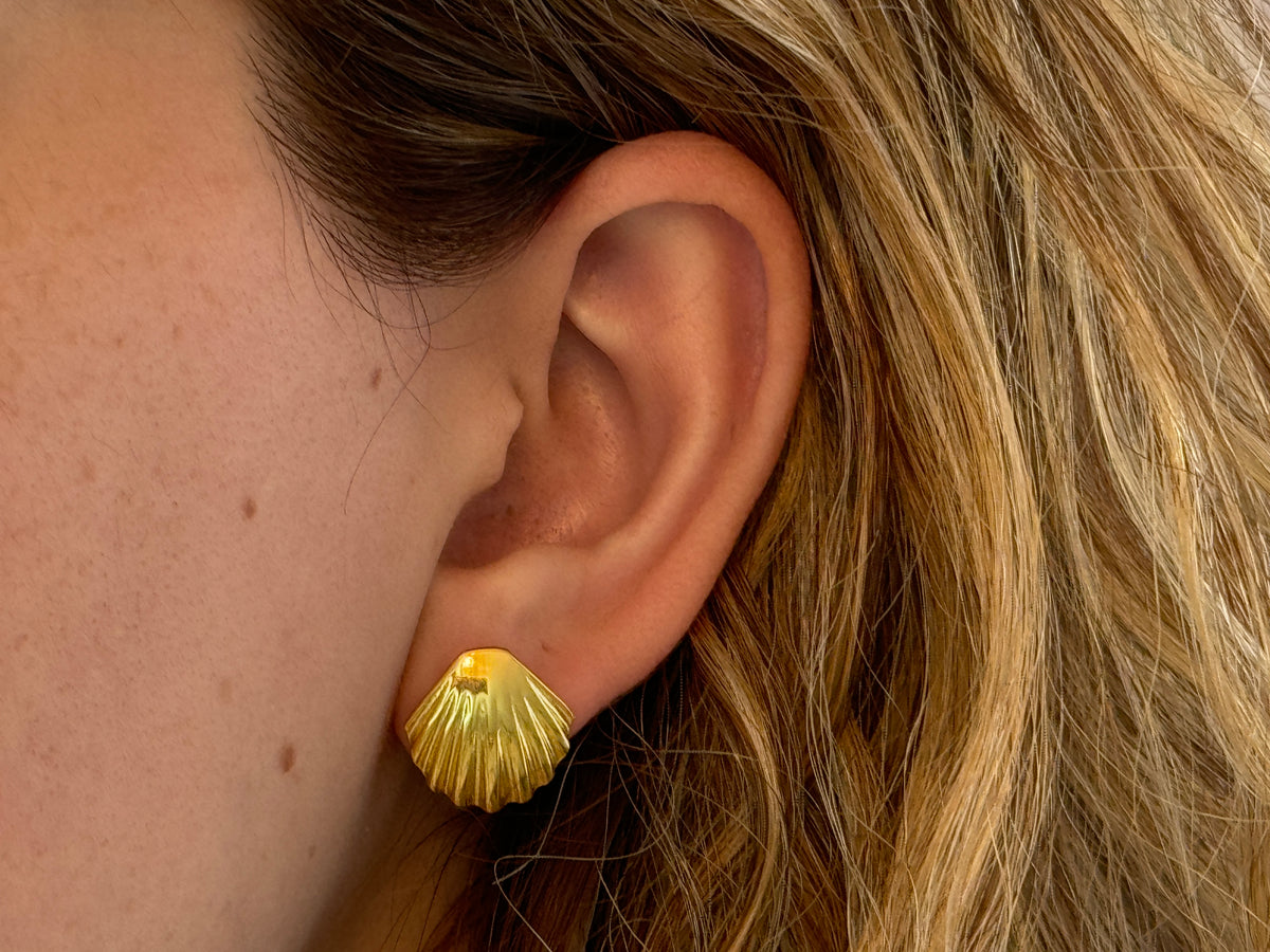 Sea Shell Earrings